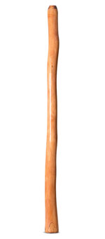 Epoxy Resin Finish Didgeridoo (TM428)
